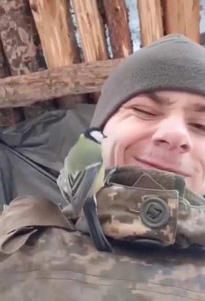 Soldier on the frontline made a little friend