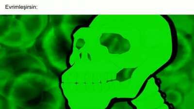 Yaratılışçıların evrimi ne sanıyor, oynat bakalım