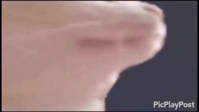 Cat jamming to again