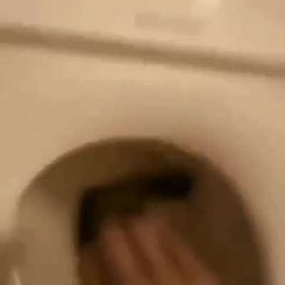 I feel like this isn't his first time.