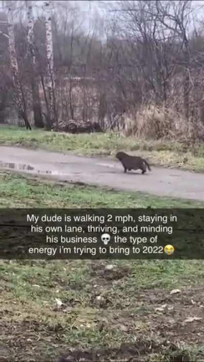 He’s going the distance