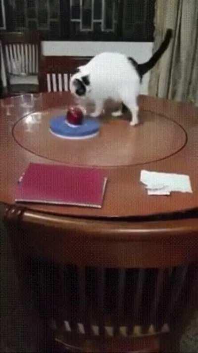 Round and round we go