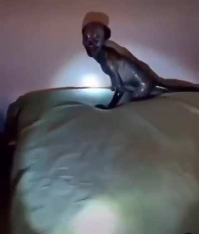 Wtf is this?.. Cameraman's Voice is definitely African.. Video found in my feed no discription 