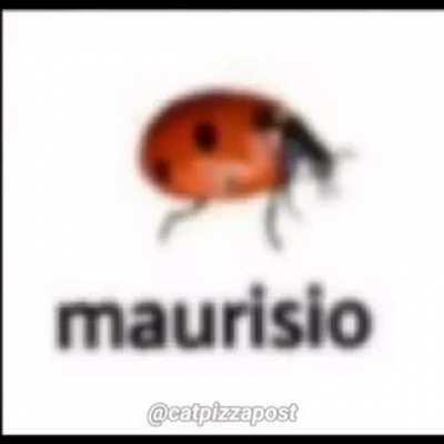 maurisio