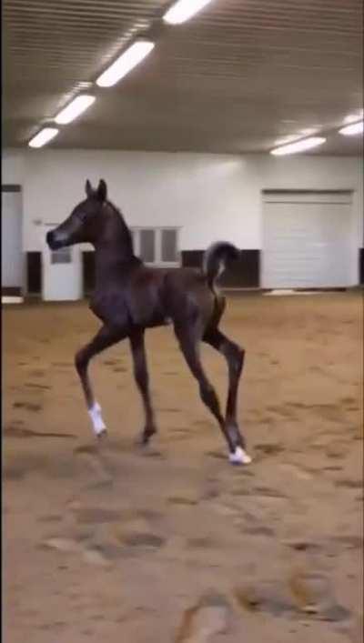 Когда давно не было секса и вдруг увидел классную девчонку...