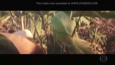 Bárbara Evans nua em 