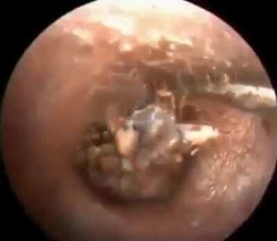 Thought this would shine here.