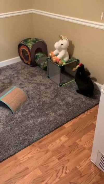 Just a Bun with his ducky!