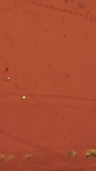 Could you catch a ball from 1000ft up ?