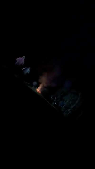 Hopefully this sub will enjoy our homemade fireworks