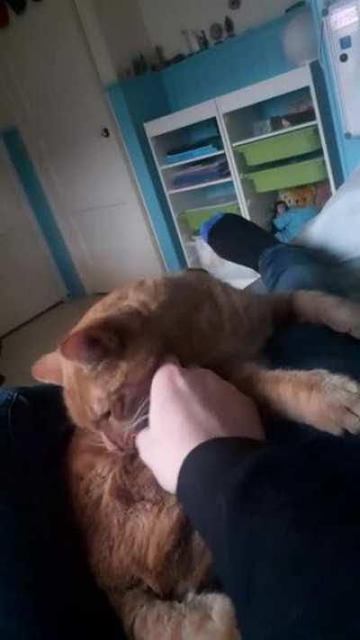 My cat being a good boy. (Sry for the bad quality)