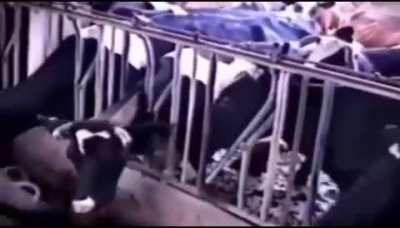 It all starts with an idea