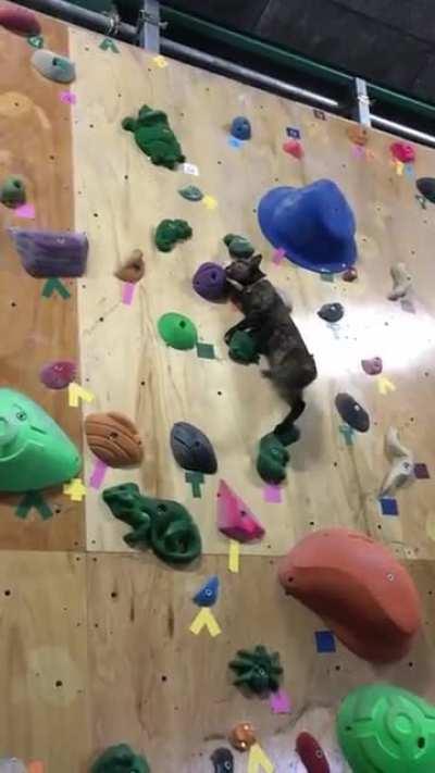 Very intense catculations