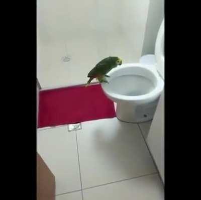 She likes singing in the bathroom