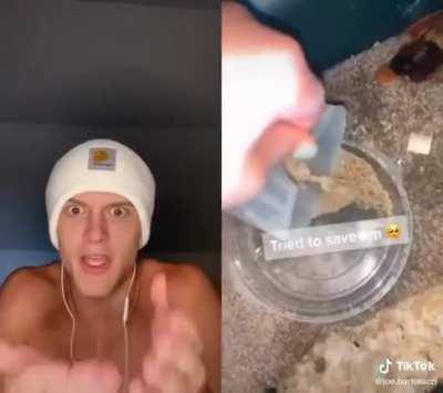 Manufactured animal abuse for clicks?