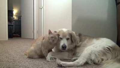 I didn’t sign up for this