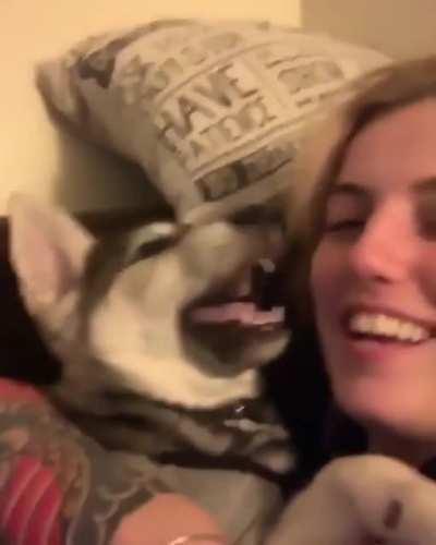 Клёвый пёсель [Звук]