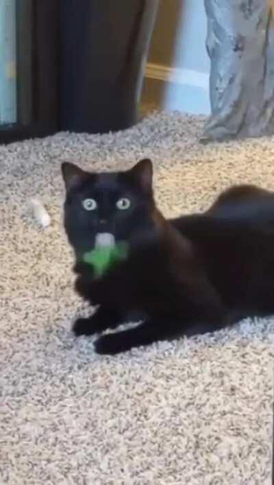 She caught a feather