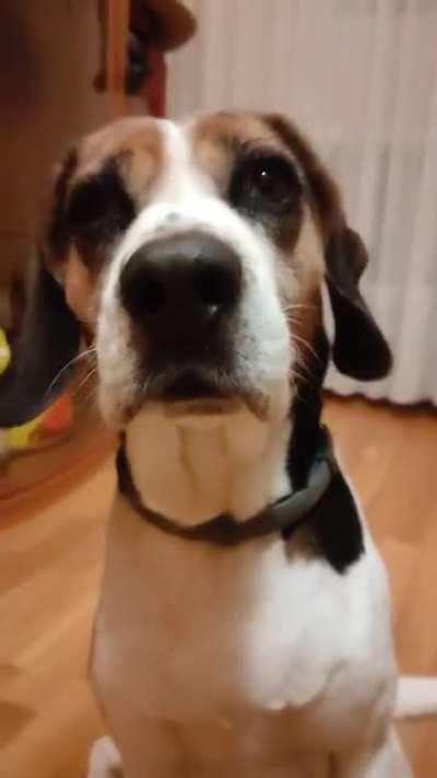 Well, I guess he is a horse now