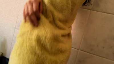 looking for someone who worship my perfect ass, who offers?