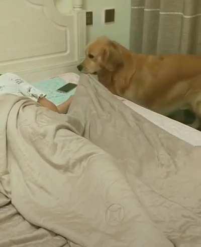 Furry Caretaker Moments.