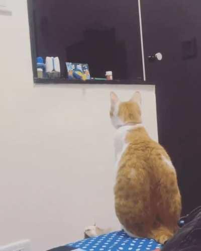 Moms will always be moms