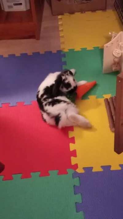 So hard to be a bunny