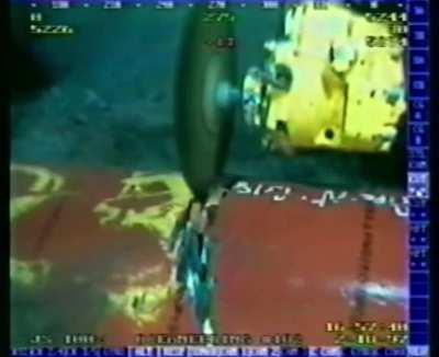 Crabs being sucked into a pipe due to differential pressure