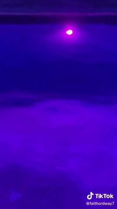 Faith is the hottest girl in the pool 🔥🍑