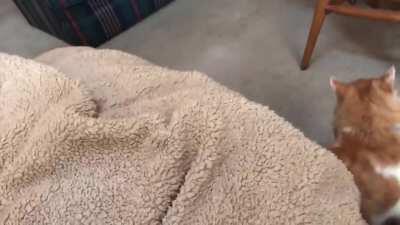 Don't fa---...too late.