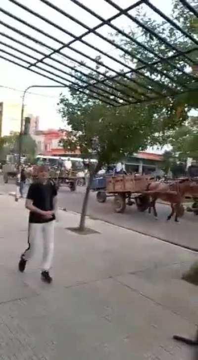 Marcha de carreros en Chaco