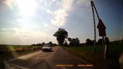 Found one panda in the wild.