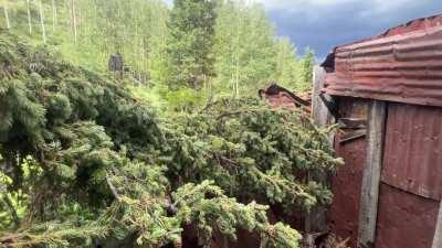 Tied up and flogged/spanked in an abandoned mine shaft. We thought we were alone till all the 4-wheelers started riding by. [gif]