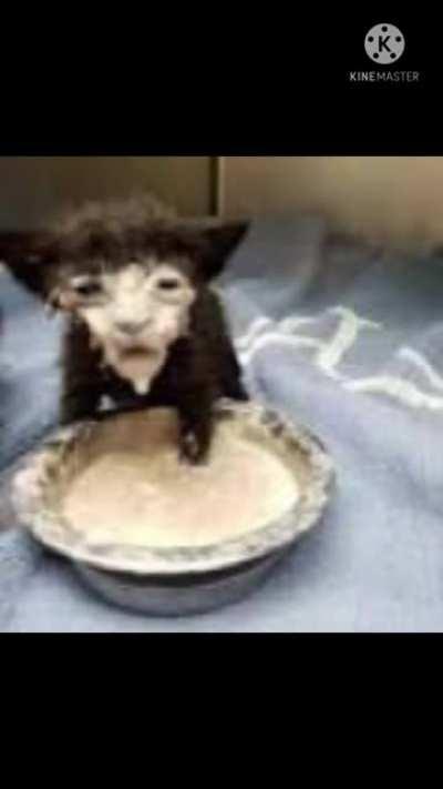 Meanwhile on a tuesday morning: