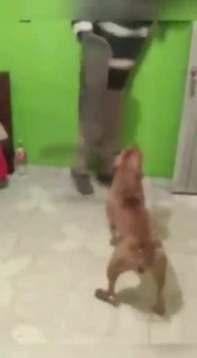 Sif hella angry 😡