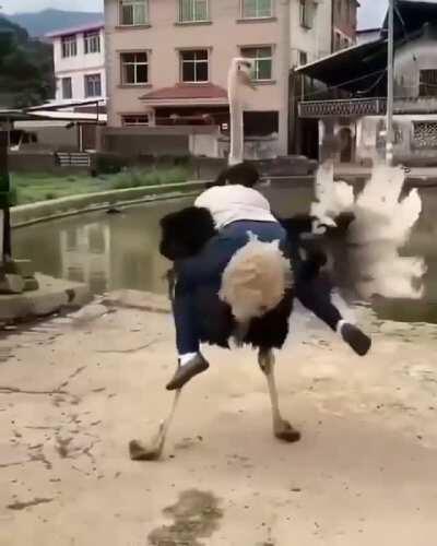 Ah. A true intellecual.