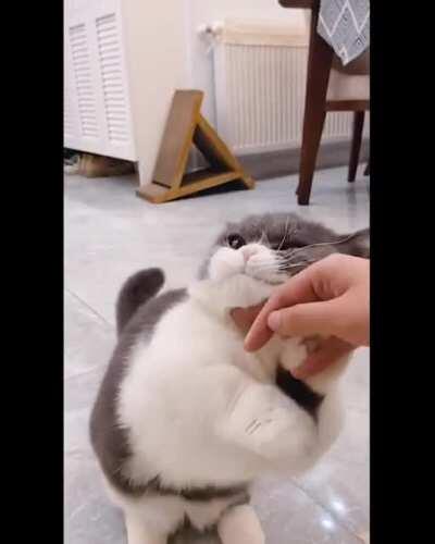 She loves her owner very much.