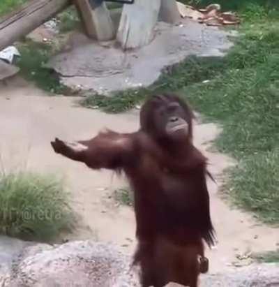 He doesn’t ask, he demands!