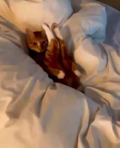 HMC while I record a video for Meownly Fans