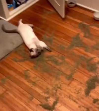 On This Season Of Intervention…