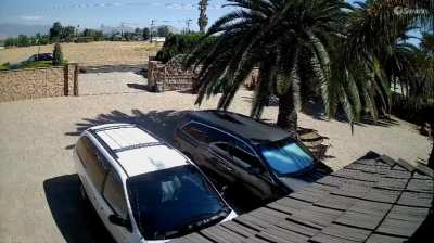 Always look both ways [oc] Pedestrian was fine.