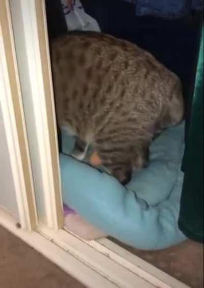 She is not giving it back