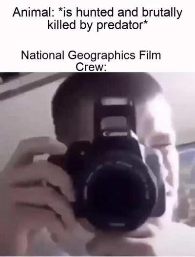 Could you chase it a bit slower please?