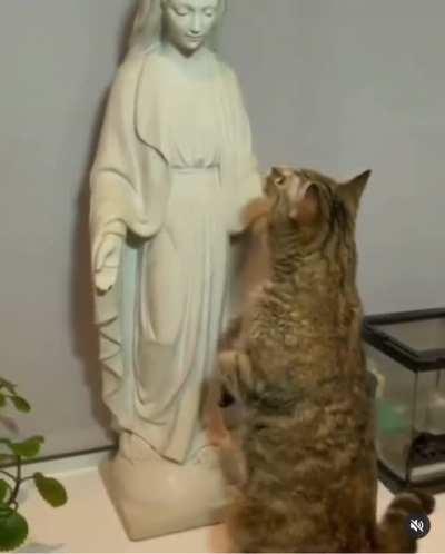 From Amy Sedaris’s Instagram