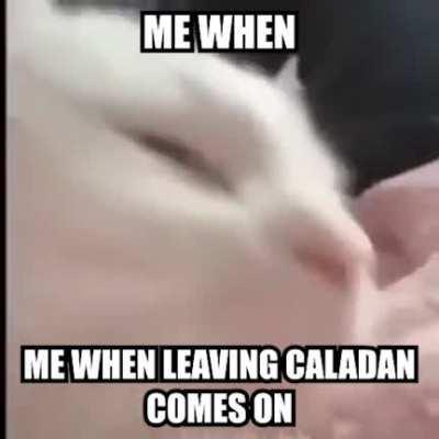 I saw Dune today and it was awesome