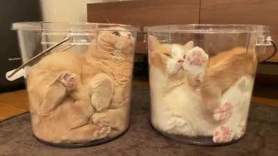 What do you do with liquids, you put them in buckets.