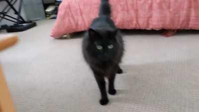 Arthur sings his separation anxiety song