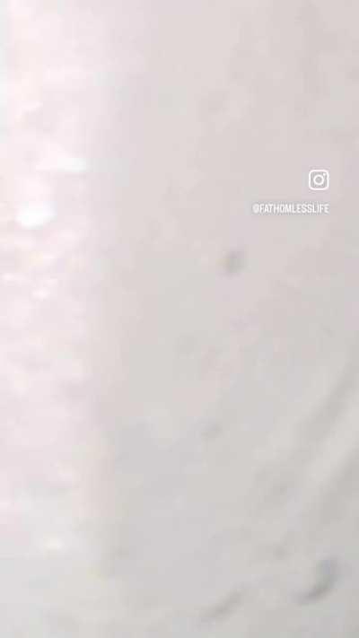 To windsurf in Mona Vale Australia