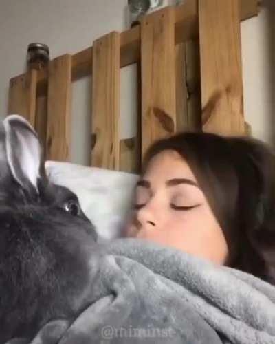 Кролики, это не только ценный мех