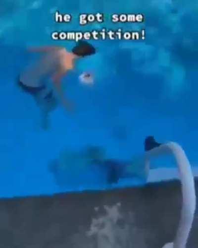 NANIKPosting - Video #8008